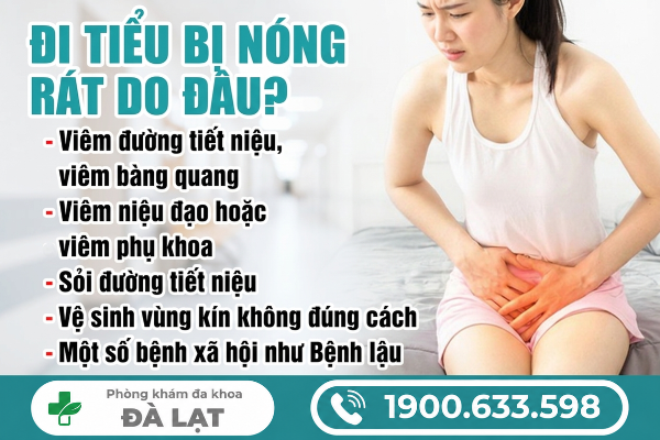 Hình ảnh minh họa